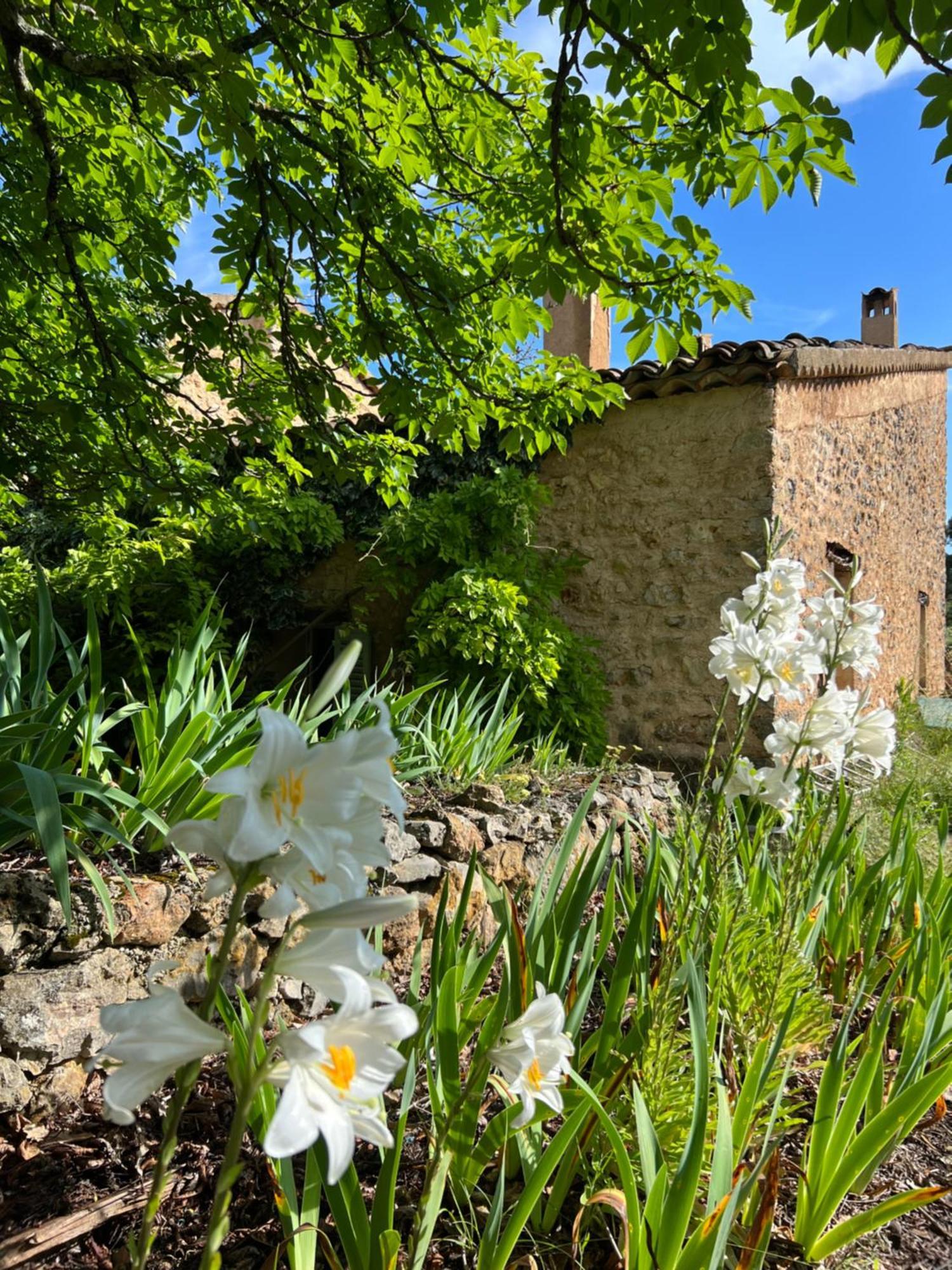 Charmant Appartement Independant Au Sein D'Un Mas Provencal Aups Eksteriør bilde