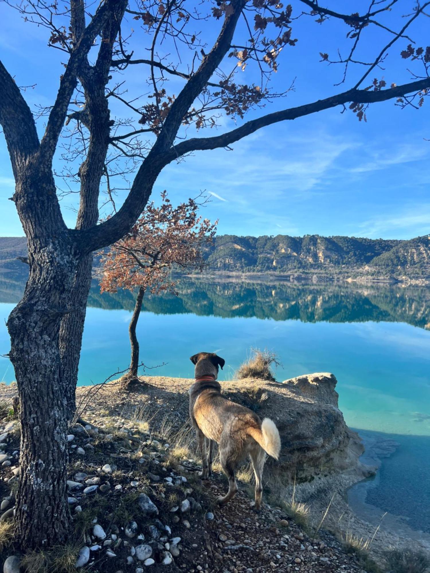Charmant Appartement Independant Au Sein D'Un Mas Provencal Aups Eksteriør bilde